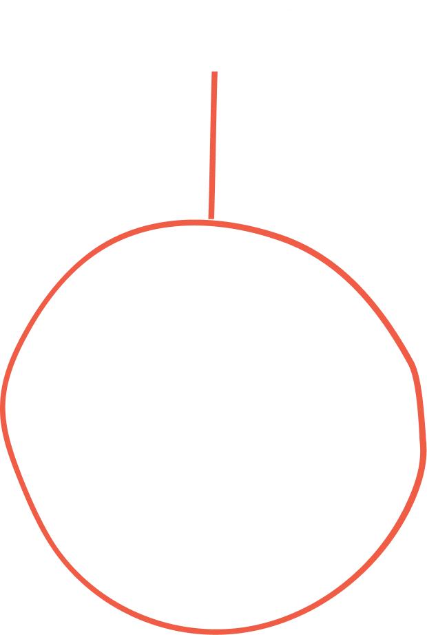 Illustration of the D for Specialist part of Macro Specialist Designation Program